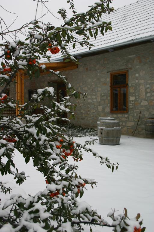 Karádi-Berger Vendégház Erdőbénye Exterior foto